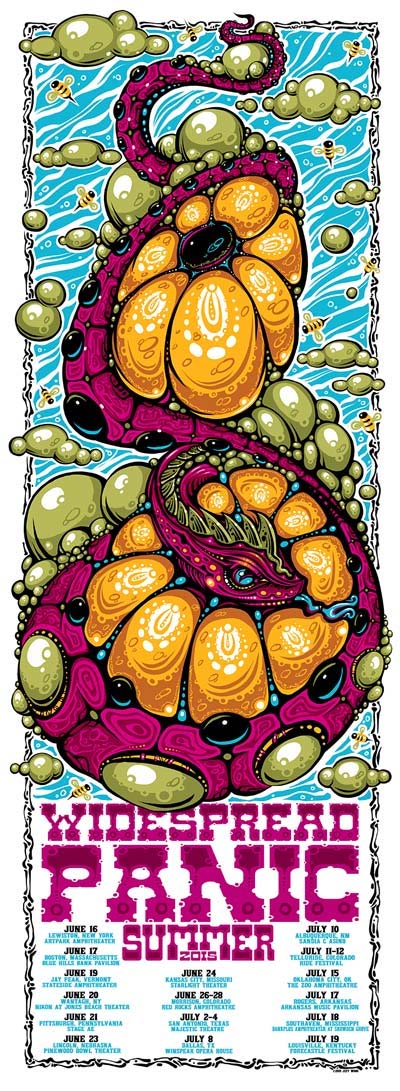 2015 Summer Tour tour poster by Jeff Wood