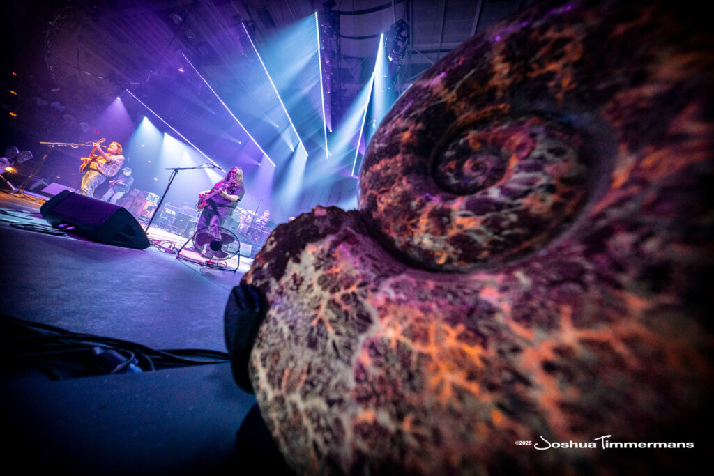 A moment from the Widespread Panic July 24, 2025 performance in Asheville, NC