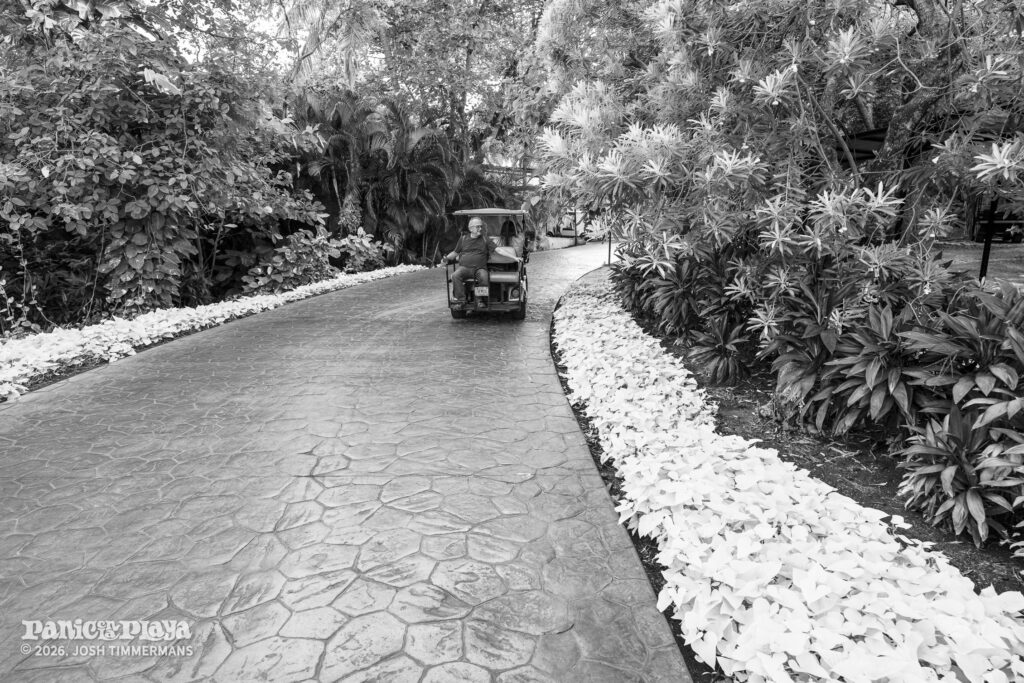 Widespread Panic rehearsal and soundcheck at Panic en la Playa Trece on January 19, 2026