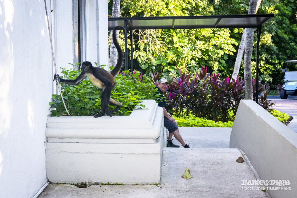 Widespread Panic performing at Panic en la Playa Trece on Friday, January 23, 2026