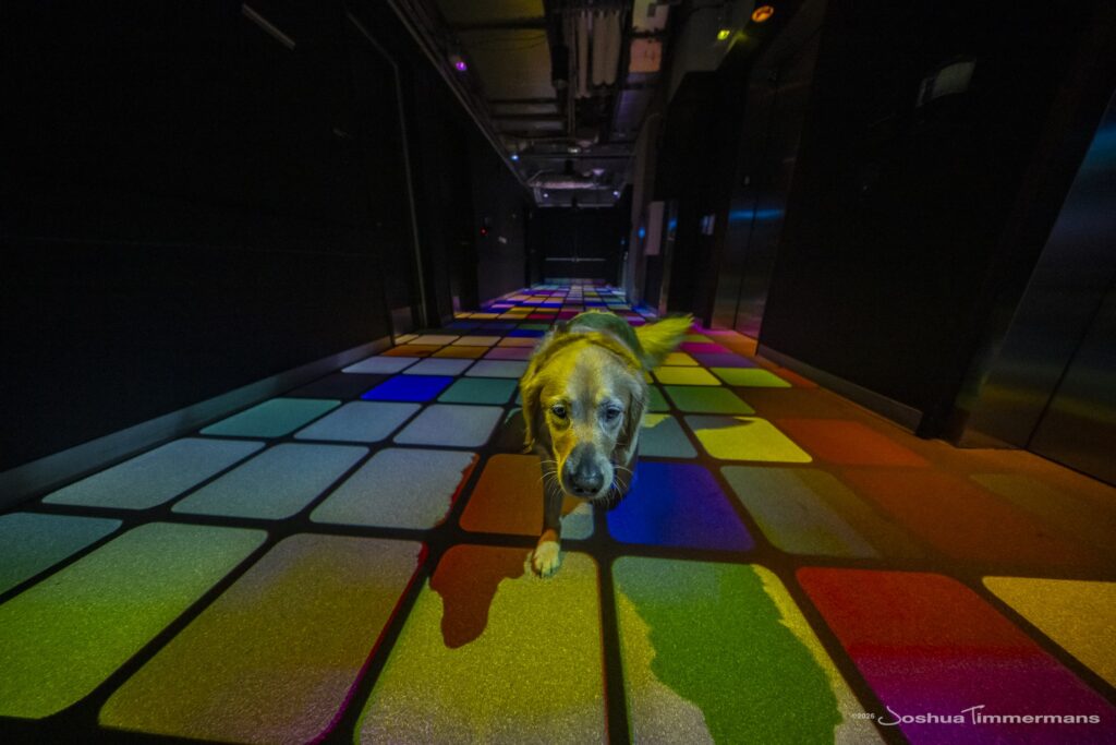 Widespread Panic performing at Moody Center in Austin, TX on Saturday, February 14, 2026